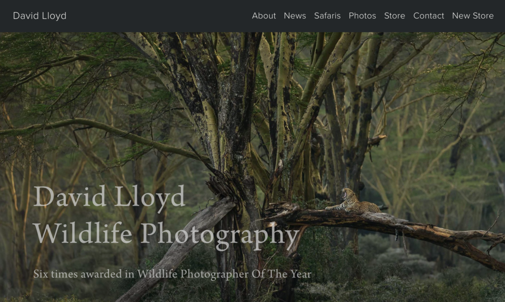 David Lloyd - Best photography website - Memoreez.io