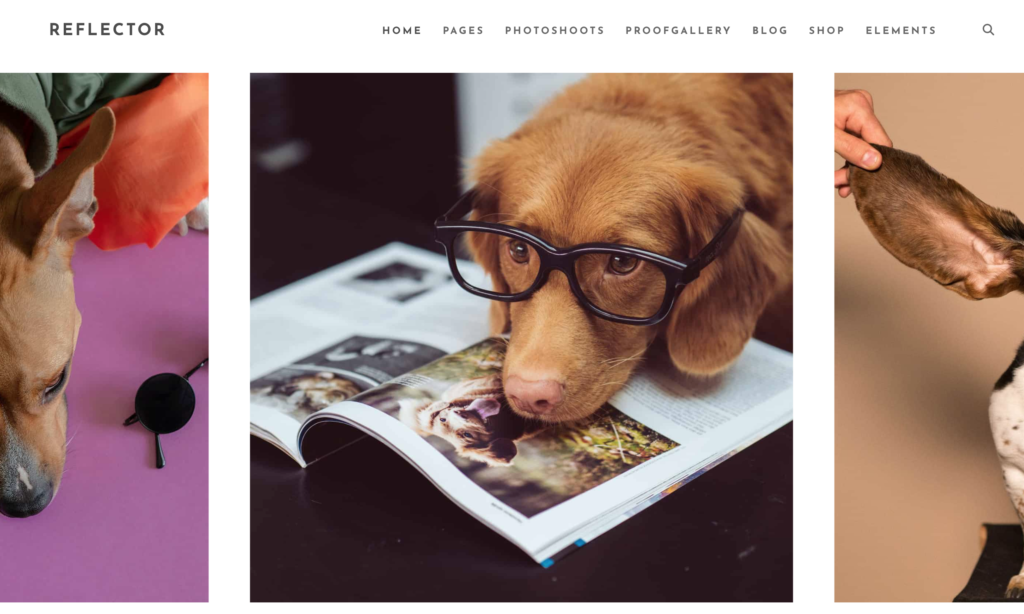 Photography WordPress template